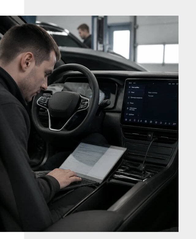 Русификация автомобилей BYD под ключ для всех моделей в Петрозаводске
