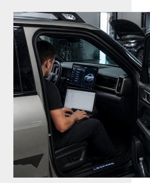 Русификация BYD Leopard 3 в Петрозаводске по цене от 20199 р. | ФастМобиль-Птр